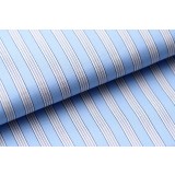 Albiate Stripe Blue 4